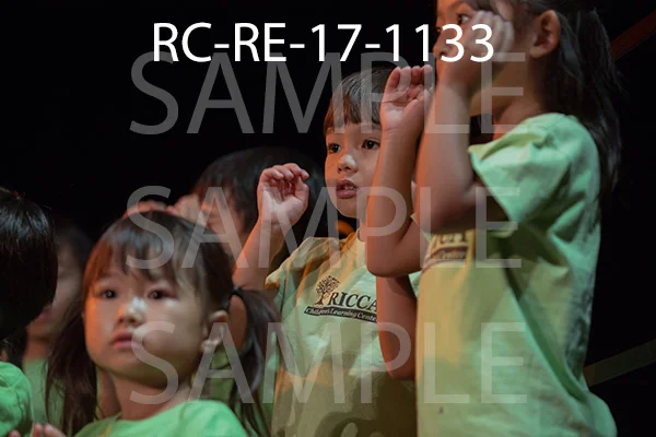 RC-RE-17-1133.jpg