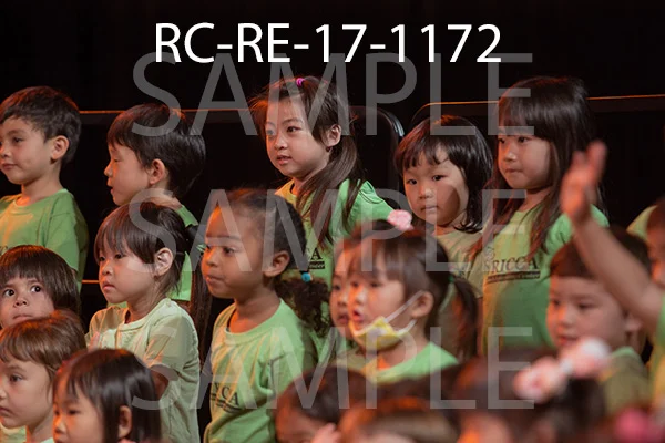 RC-RE-17-1172.jpg