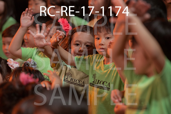 RC-RE-17-1174.jpg