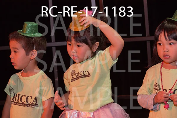 RC-RE-17-1183.jpg