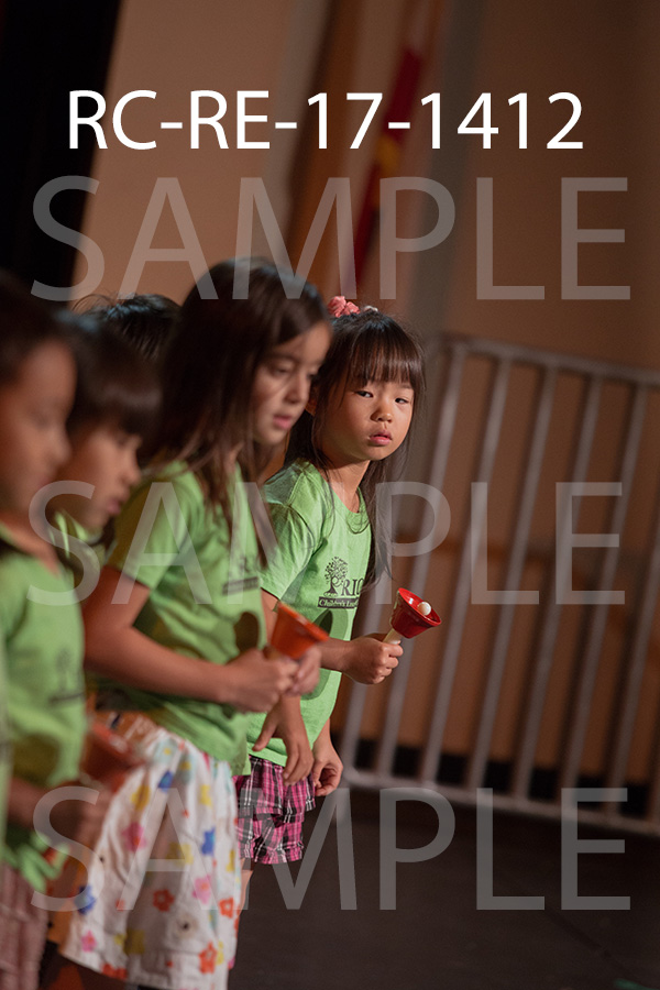 RC-RE-17-1412.jpg