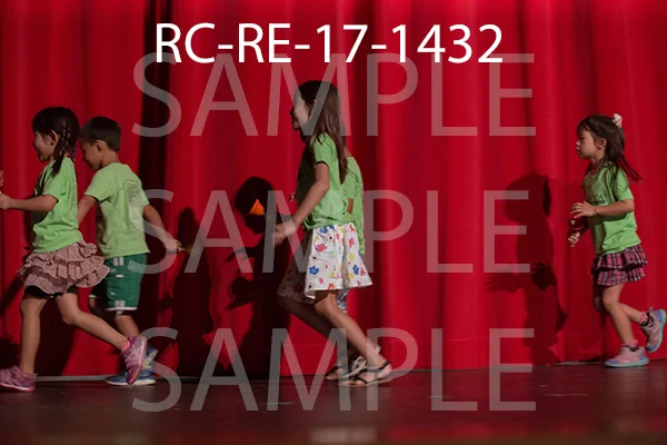 RC-RE-17-1432.jpg