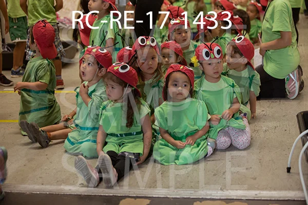 RC-RE-17-1433.jpg