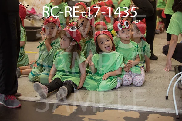 RC-RE-17-1435.jpg