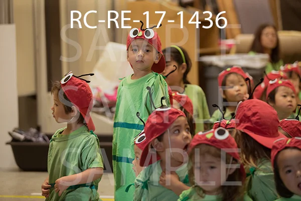 RC-RE-17-1436.jpg