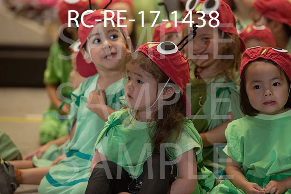 RC-RE-17-1438.jpg
