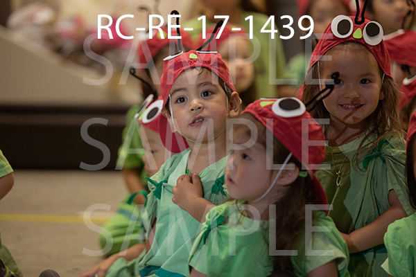 RC-RE-17-1439.jpg