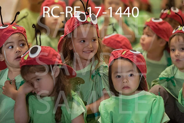 RC-RE-17-1440.jpg