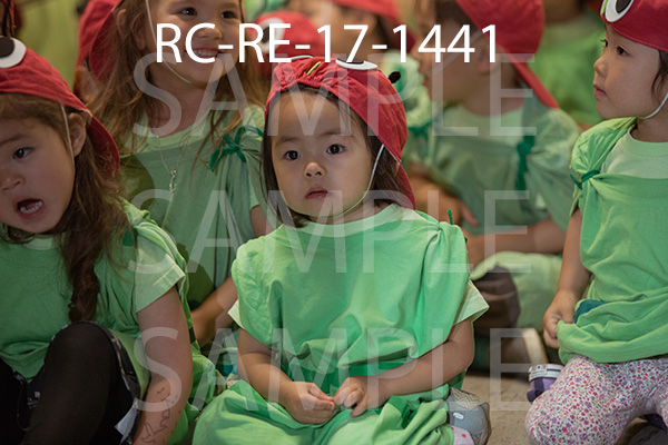 RC-RE-17-1441.jpg