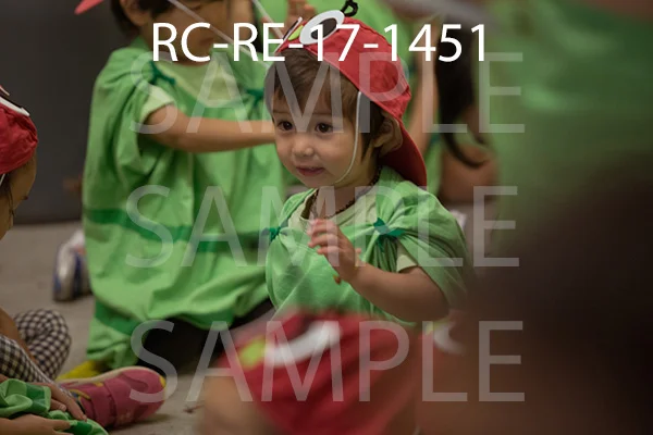 RC-RE-17-1451.jpg