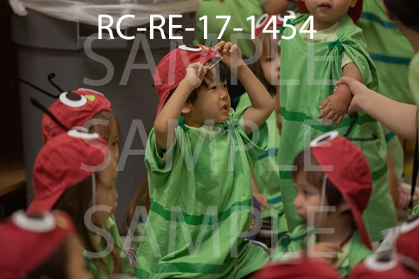 RC-RE-17-1454.jpg