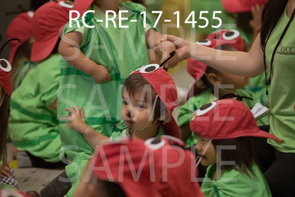 RC-RE-17-1455.jpg