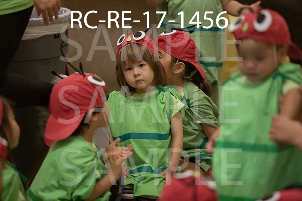 RC-RE-17-1456.jpg