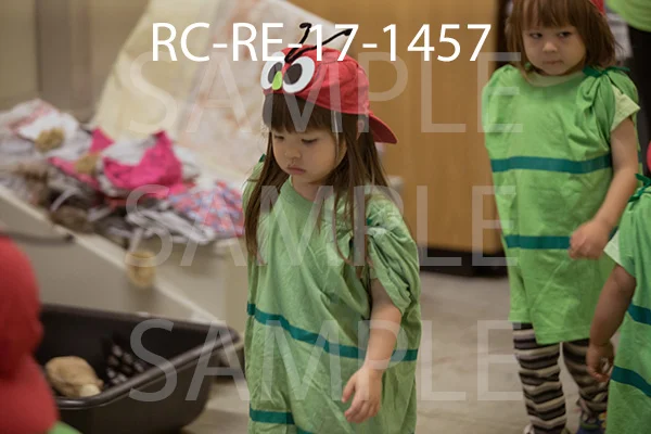 RC-RE-17-1457.jpg