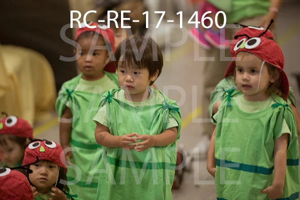 RC-RE-17-1460.jpg