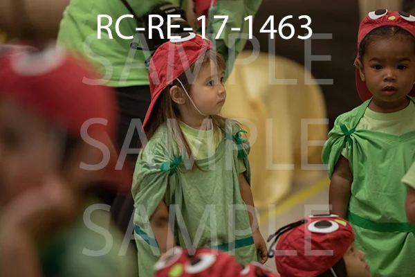 RC-RE-17-1463.jpg