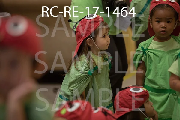 RC-RE-17-1464.jpg