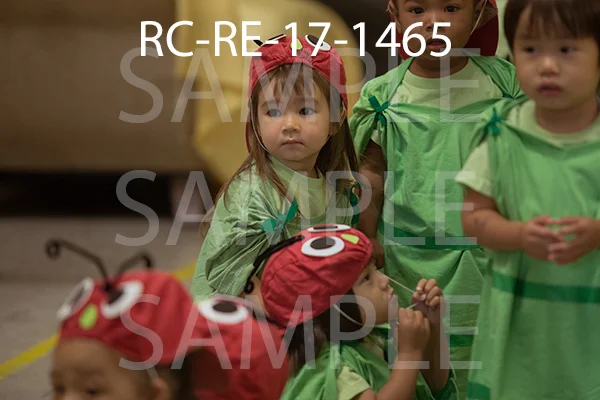 RC-RE-17-1465.jpg