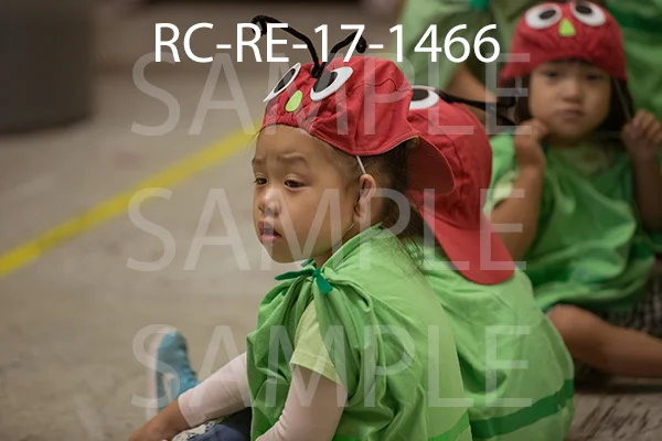 RC-RE-17-1466.jpg