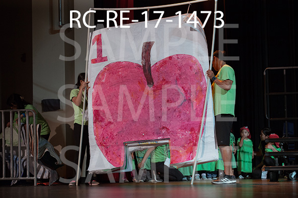 RC-RE-17-1473.jpg