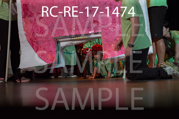 RC-RE-17-1474.jpg
