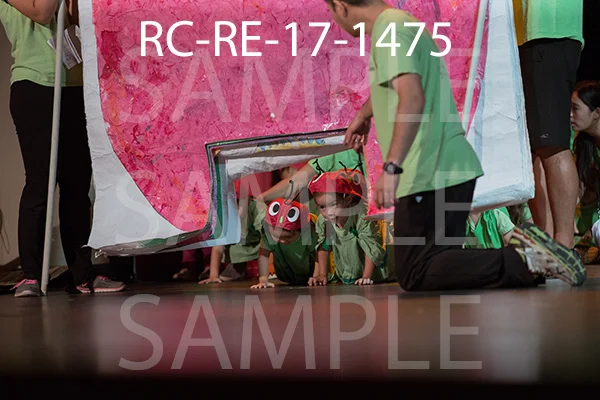 RC-RE-17-1475.jpg