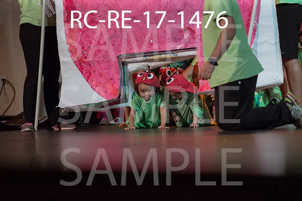 RC-RE-17-1476.jpg