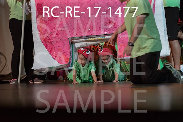 RC-RE-17-1477.jpg