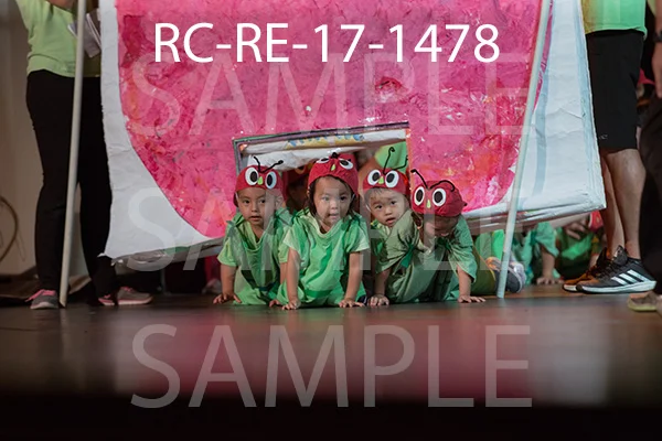 RC-RE-17-1478.jpg