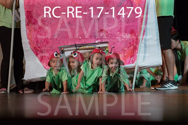 RC-RE-17-1479.jpg