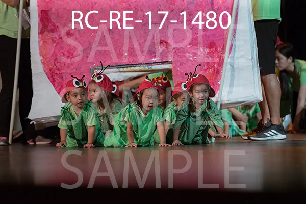 RC-RE-17-1480.jpg