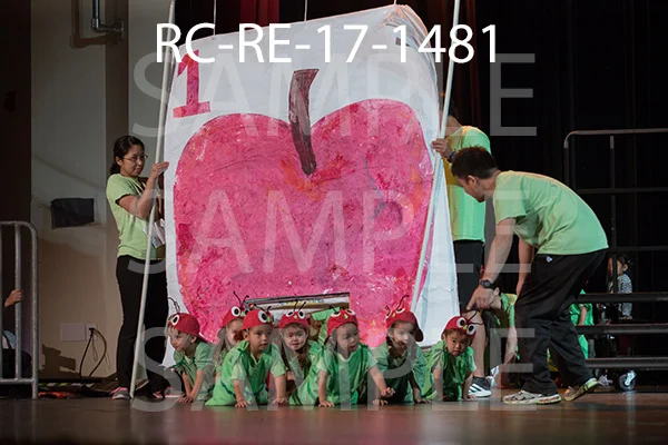 RC-RE-17-1481.jpg