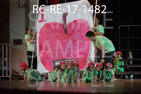 RC-RE-17-1482.jpg
