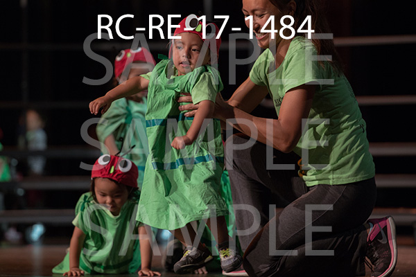 RC-RE-17-1484.jpg