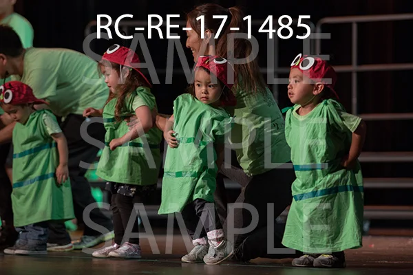 RC-RE-17-1485.jpg
