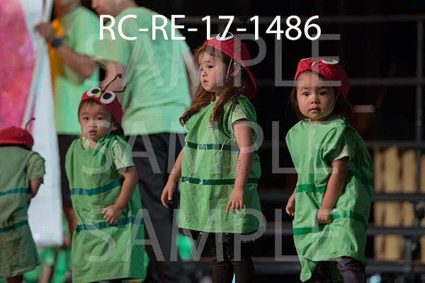 RC-RE-17-1486.jpg