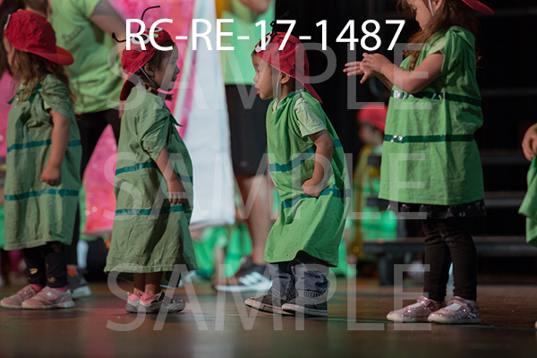 RC-RE-17-1487.jpg