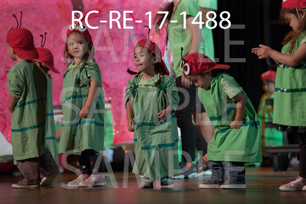 RC-RE-17-1488.jpg