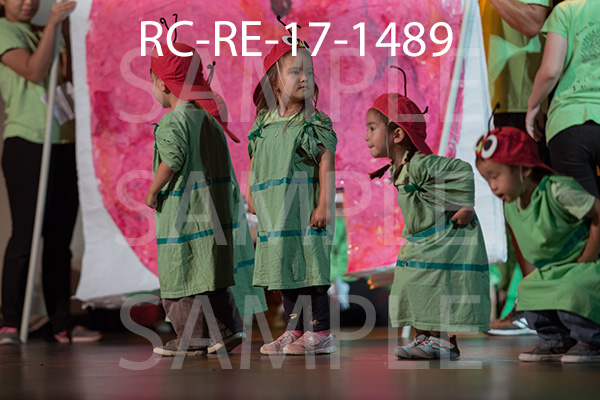 RC-RE-17-1489.jpg