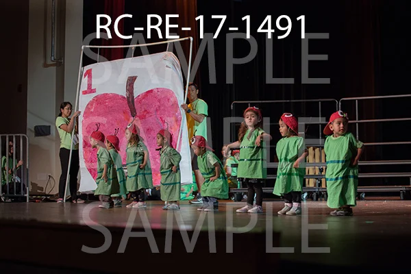 RC-RE-17-1491.jpg