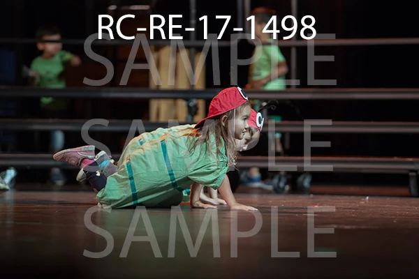 RC-RE-17-1498.jpg