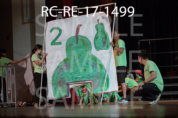 RC-RE-17-1499.jpg