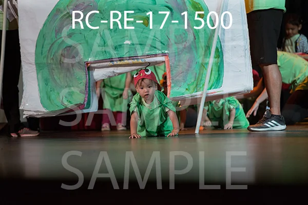 RC-RE-17-1500.jpg