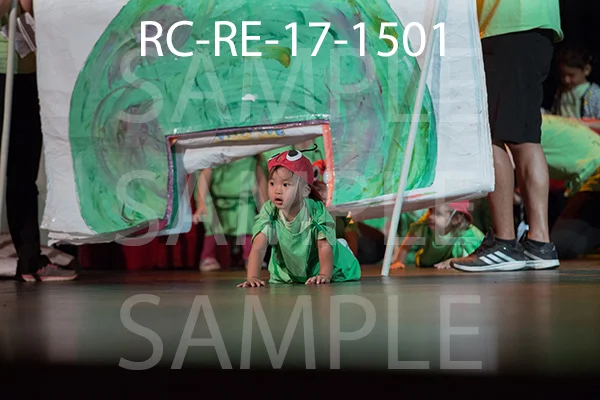 RC-RE-17-1501.jpg