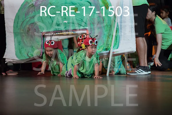 RC-RE-17-1503.jpg