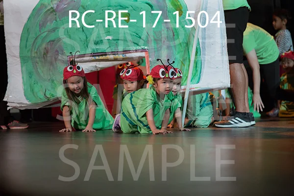 RC-RE-17-1504.jpg