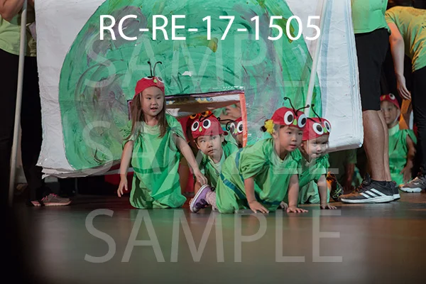 RC-RE-17-1505.jpg