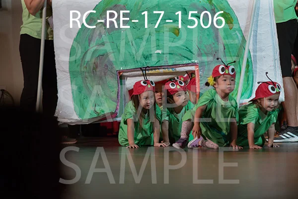 RC-RE-17-1506.jpg