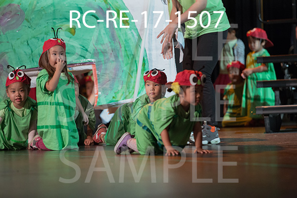 RC-RE-17-1507.jpg