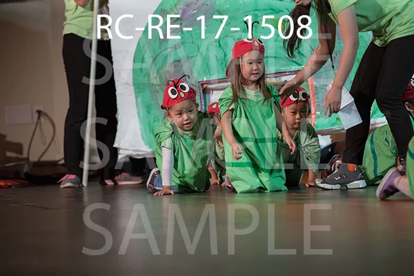 RC-RE-17-1508.jpg